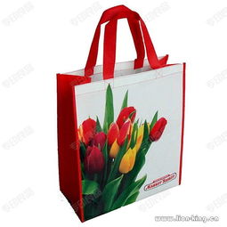 環(huán)保購物袋廠 無紡布廣告手提袋 廣州無紡布袋廠