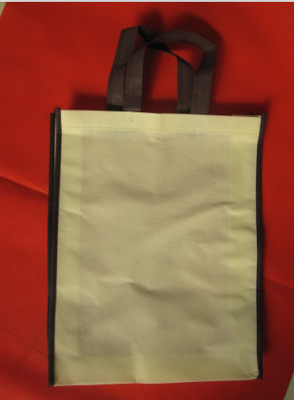 廠家定做環保背心無紡布袋，高密市晟鑫環保袋加工廠專業定制服務